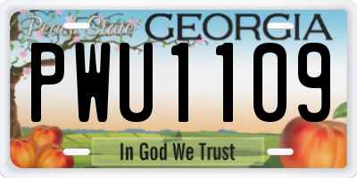 GA license plate PWU1109