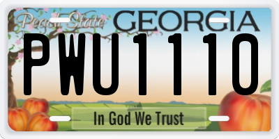 GA license plate PWU1110