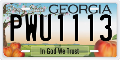 GA license plate PWU1113