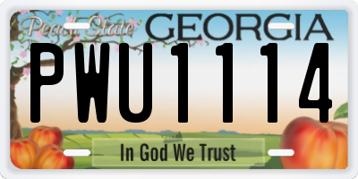 GA license plate PWU1114