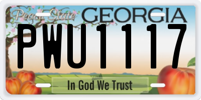 GA license plate PWU1117