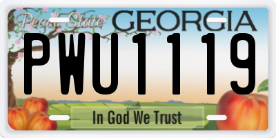 GA license plate PWU1119