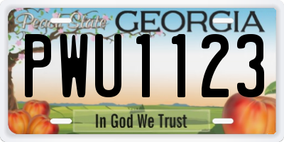 GA license plate PWU1123