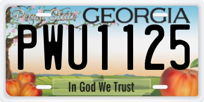 GA license plate PWU1125