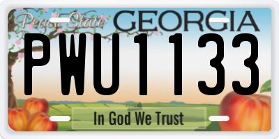 GA license plate PWU1133