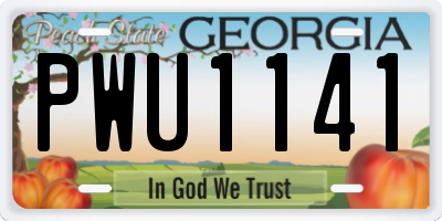 GA license plate PWU1141