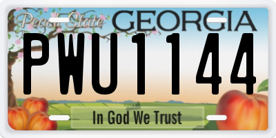 GA license plate PWU1144