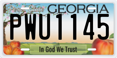 GA license plate PWU1145