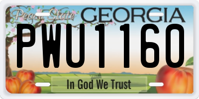 GA license plate PWU1160