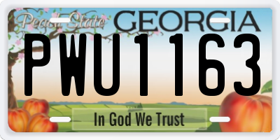 GA license plate PWU1163