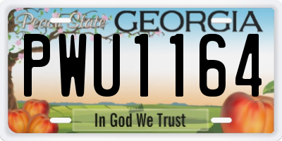 GA license plate PWU1164