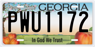GA license plate PWU1172