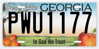 GA license plate PWU1177