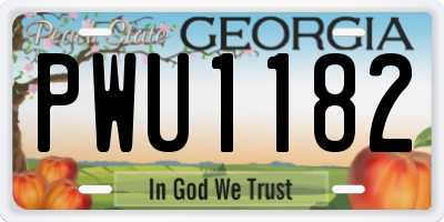 GA license plate PWU1182