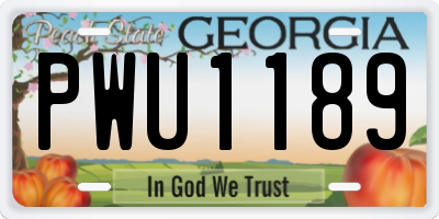 GA license plate PWU1189