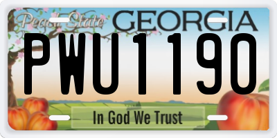GA license plate PWU1190