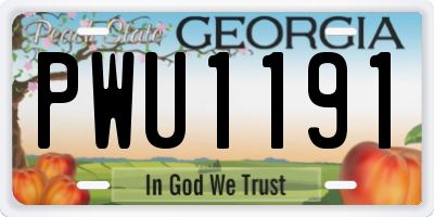 GA license plate PWU1191