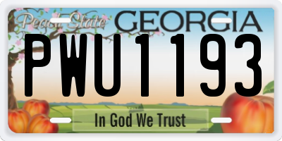 GA license plate PWU1193