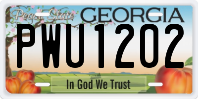 GA license plate PWU1202