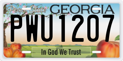 GA license plate PWU1207