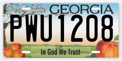 GA license plate PWU1208