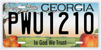 GA license plate PWU1210