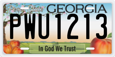 GA license plate PWU1213