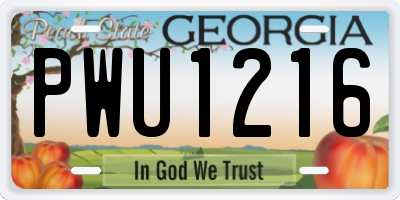 GA license plate PWU1216