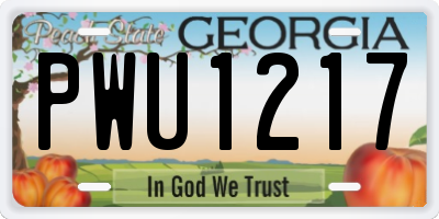 GA license plate PWU1217
