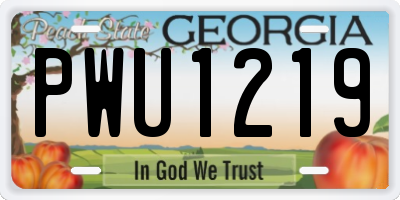 GA license plate PWU1219