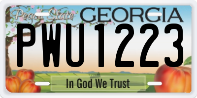 GA license plate PWU1223