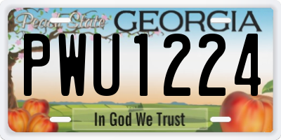 GA license plate PWU1224