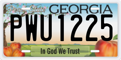 GA license plate PWU1225