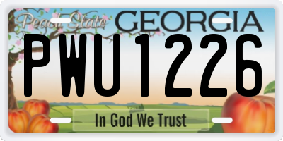 GA license plate PWU1226