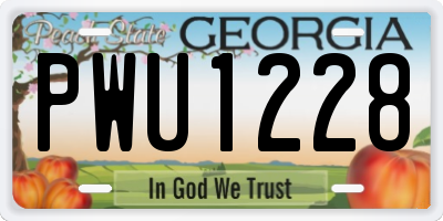 GA license plate PWU1228