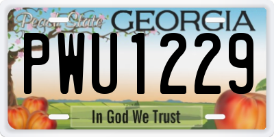 GA license plate PWU1229