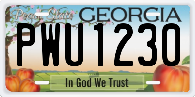 GA license plate PWU1230