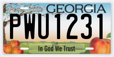 GA license plate PWU1231