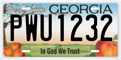 GA license plate PWU1232