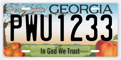 GA license plate PWU1233