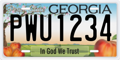 GA license plate PWU1234