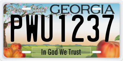 GA license plate PWU1237