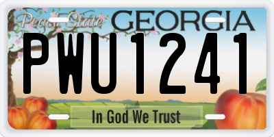 GA license plate PWU1241