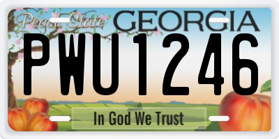GA license plate PWU1246