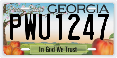 GA license plate PWU1247