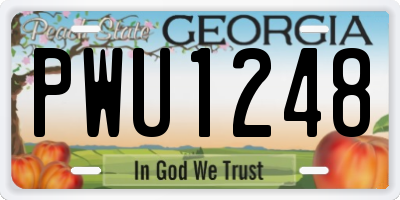 GA license plate PWU1248