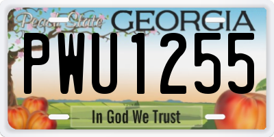 GA license plate PWU1255