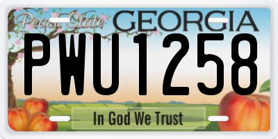 GA license plate PWU1258