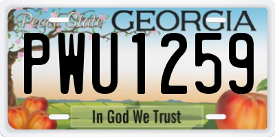 GA license plate PWU1259