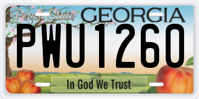 GA license plate PWU1260